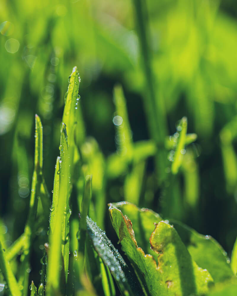 environmental-non-profit-06b