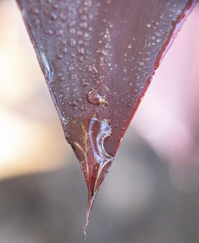 environmental-non-profit-13