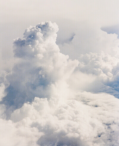 environmental-non-profit-32