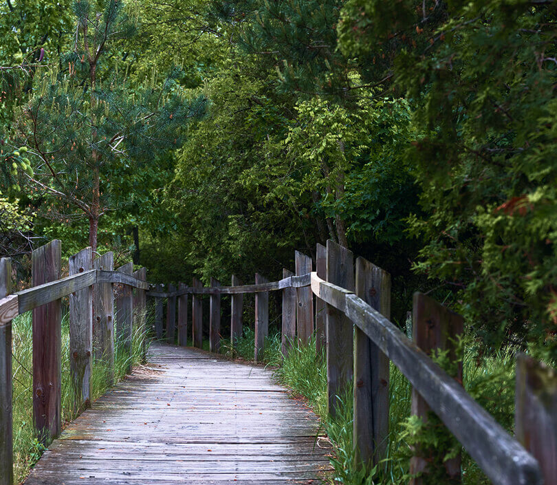 environmental-non-profit-36