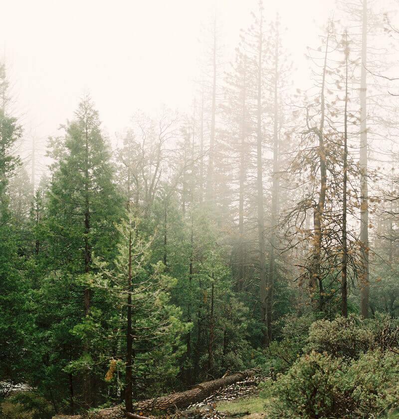 environmental-non-profit-37